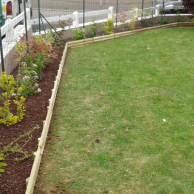 Plantation d'une haie variée décorative en clôture
