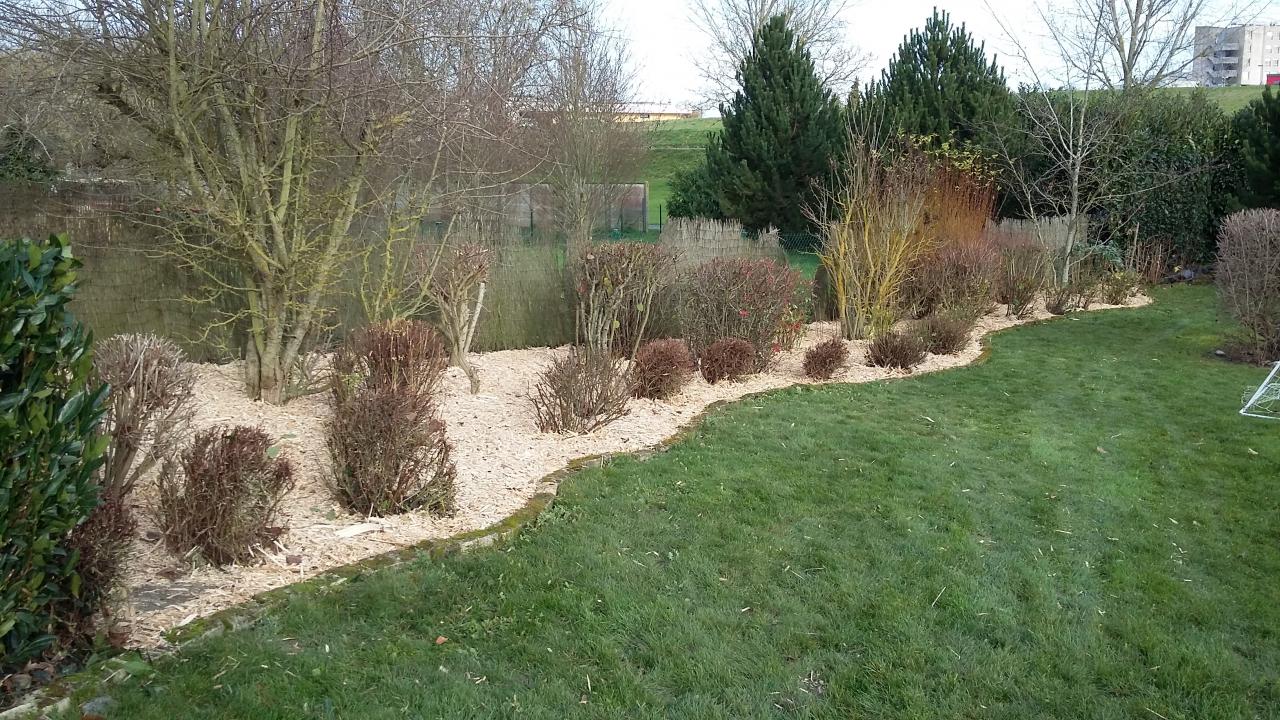 Paillage organique d'un massif