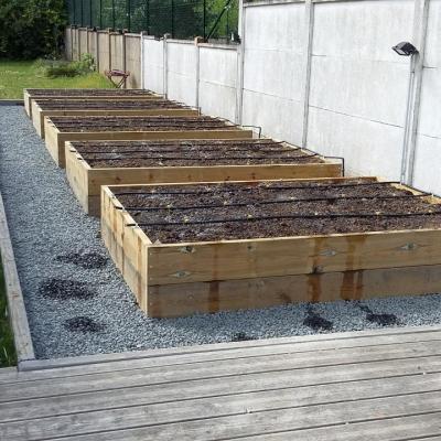 Carrés potagers