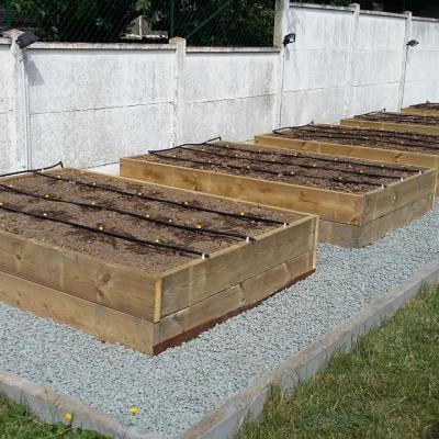 Carrés potagers